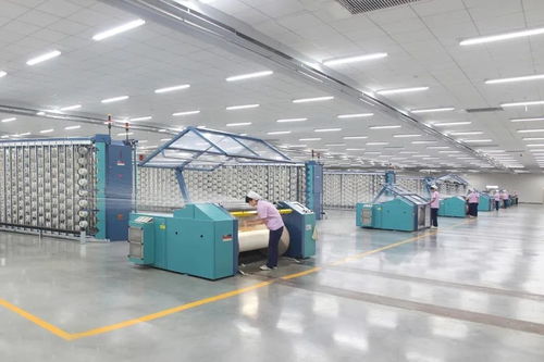 科技賦能，織就未來——2020中國紡織服裝行業(yè)十大科技驅(qū)動榜樣巡禮