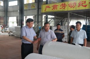 肖立新深入桃江縣環宇紡織新材料科技走訪調研，共謀紡織科技研究服務新篇章